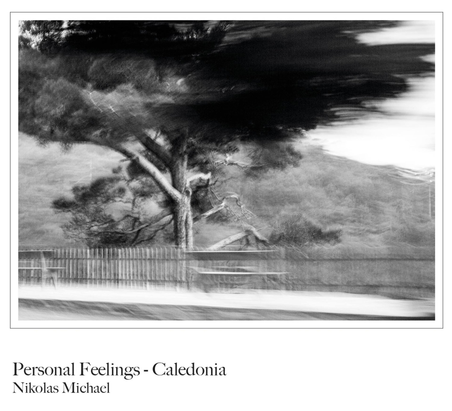 Personal Feelings - Caledonia by Nikolas Michael (Troodos, Cyprus, black and white photography, fine art, b&w, tree, nature, landscape)