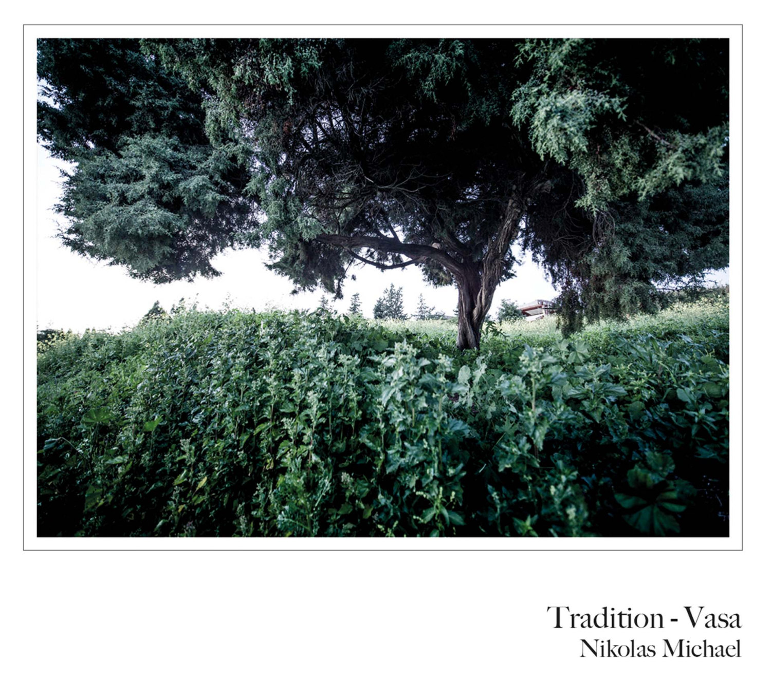 Tradition - Vasa by Nikolas Michael (nature, tree, landscape, fine art, color photography, Cyprus)